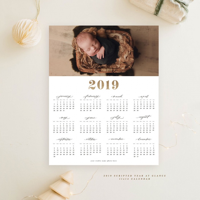 2019year_at_glance_calendar_vol1