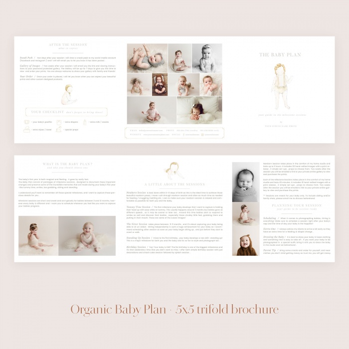 Organic_baby_plan_5x5_trifold_brochure2