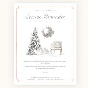 Whimsy_Holiday_session_reminder1