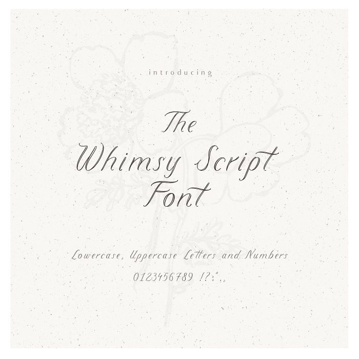 whimsy_Script_font