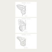 Butterfly_printableCollection2a