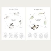 Butterfly_printableCollection2a1