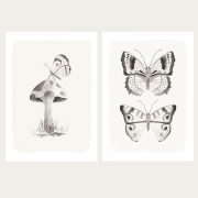 Butterfly_printableCollection2b