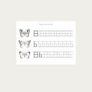 Butterfly_printableCollection2d