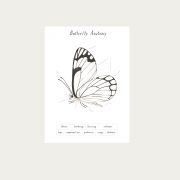 Butterfly_printableCollectionaa2