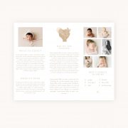 Illustrated_love_8x11_welcome_trifold_2