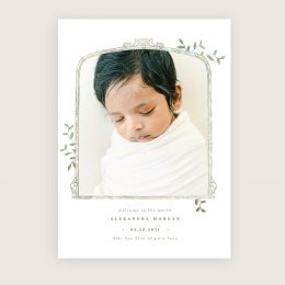 spring_whimsy_birth_announcement2