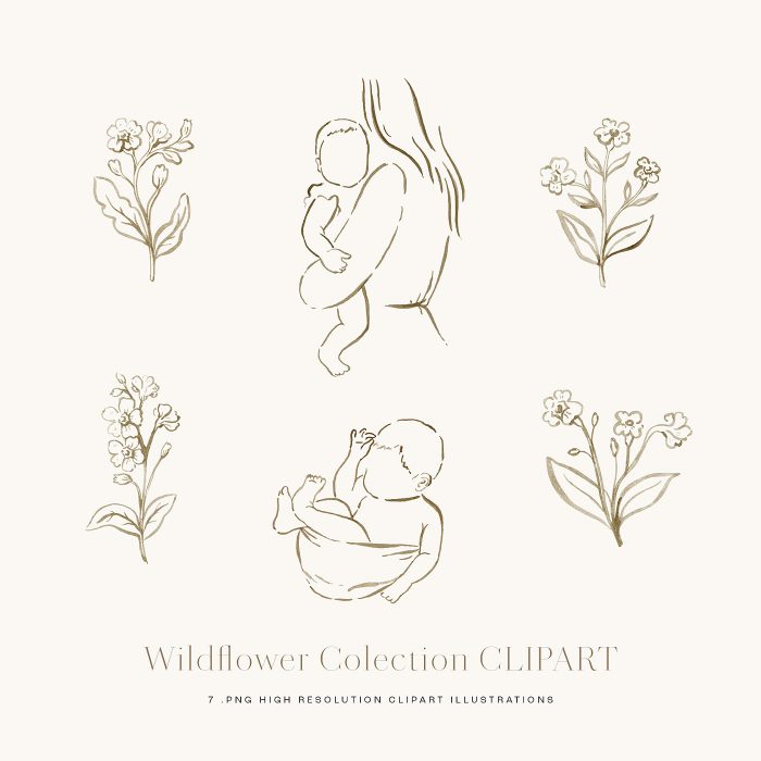 wildflower_watercolor_clipart