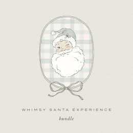 2024Whimsy_santa_experience_bundle