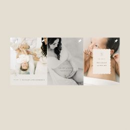 PinnedCarouslesTheBundle
