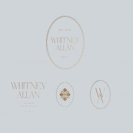 WhitneyAllan_DIYCanvaLogo1