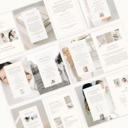 whitney-allan-investment-guide
