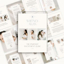 whitney-allan-investment-guide2