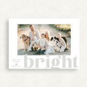 2025curatedChritsmasLandscape_card11