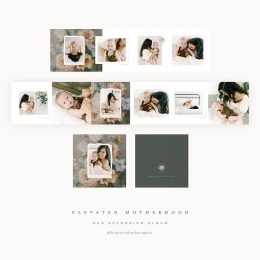 ElevatedMotherhood_3x3Accordionjpg